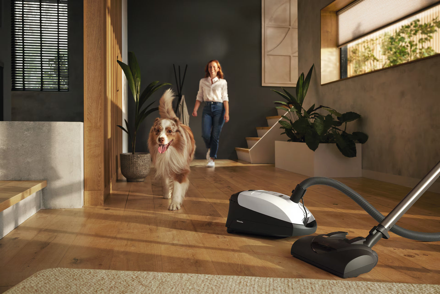 Miele Classic C1 Cat & Dog PowerLine - SBBN0 Lotus white