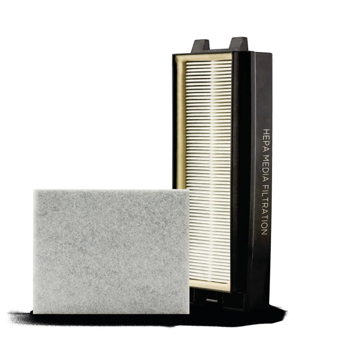 Riccar R25D Filter Set