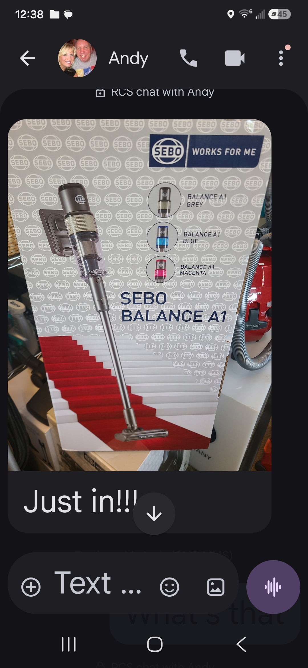 Sebo stick vacuum Balance A1
