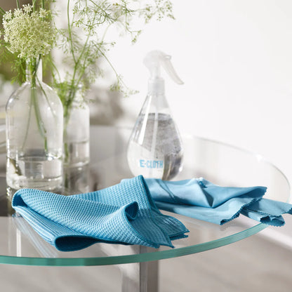 E-Cloth Window Cleaning Kit