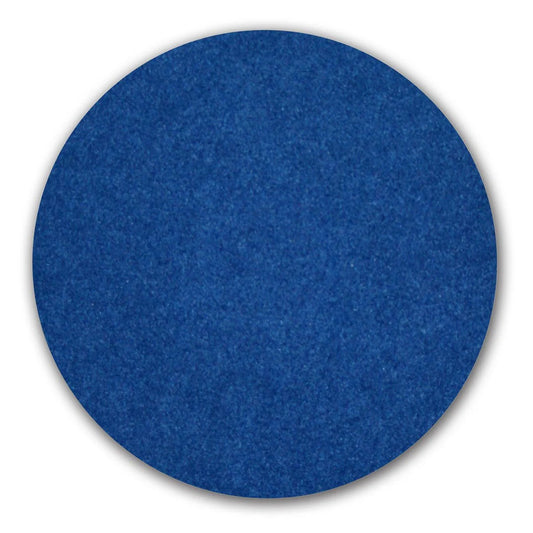 ORECK Orbiter Blue Scrub Pad